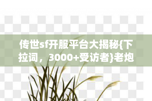 传世sf开服平台大揭秘图片