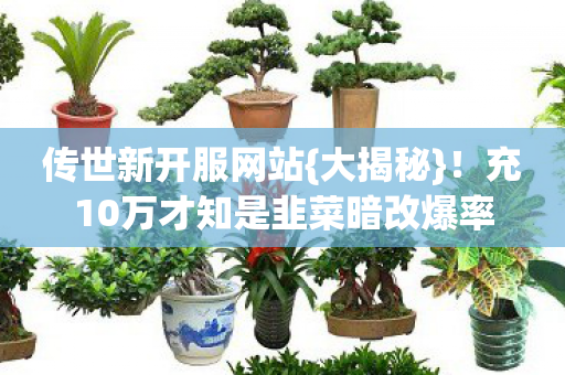 充10万才知是韭菜暗改爆率图片