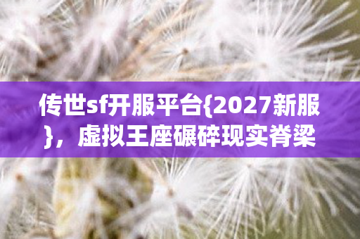 虚拟王座碾碎现实脊梁图片