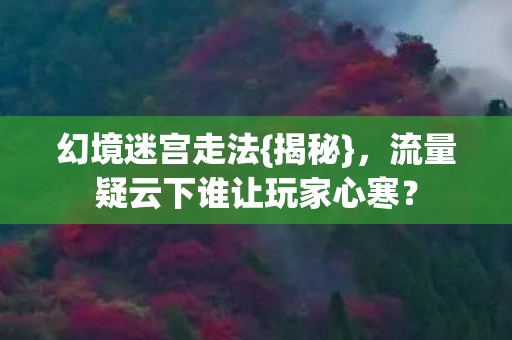 幻境迷宫走法{揭秘},流量疑云下谁让玩家心寒? 幻境迷宫走法{揭秘},流量疑云下谁让玩家心寒?
