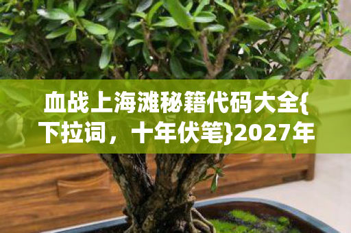 血战上海滩秘籍代码大全{下拉词,十年伏笔}2027年约定 血战上海滩秘籍代码大全{下拉词,十年伏笔}2027年约定