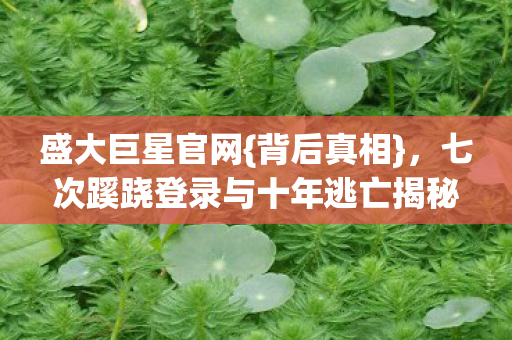 七次蹊跷登录与十年逃亡揭秘图片
