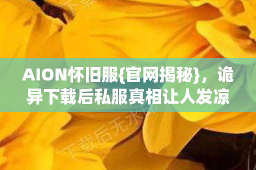 AION怀旧服{官网揭秘}，诡异下载后私服真相让人发凉