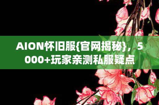 AION怀旧服{官网揭秘}，5000+玩家亲测私服疑点