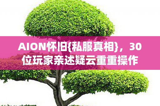 AION怀旧{私服真相},30位玩家亲述疑云重重操作 AION怀旧{私服真相},30位玩家亲述疑云重重操作