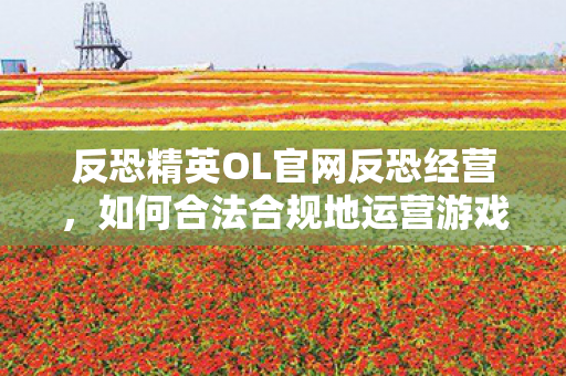 如何合法合规地运营反恐精英OL游戏服务器图片
