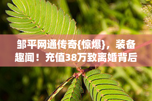 邹平网通传奇{惊爆},装备趣闻!充值38万致离婚背后 邹平网通传奇{惊爆},装备趣闻!充值38万致离婚背后