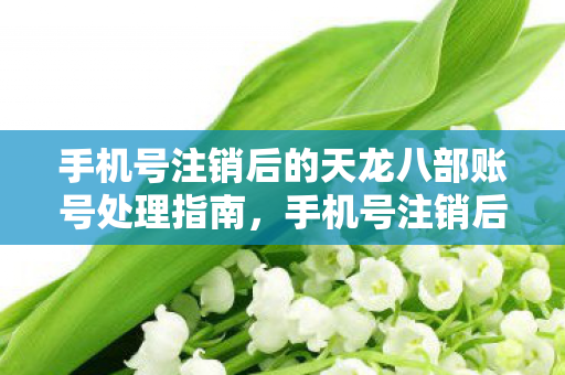 手机号注销后的天龙八部账号处理指南图片