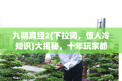 九阴真经2{下拉词,惊人冷知识}大揭秘,十年玩家都惊了! 九阴真经2{下拉词,惊人冷知识}大揭秘,十年玩家都惊了!