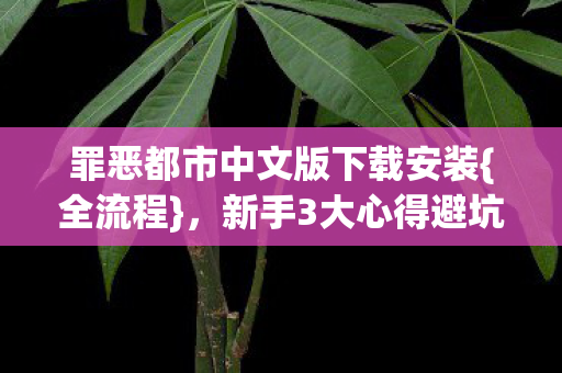 罪恶都市中文版下载安装{全流程}，新手3大心得避坑指南