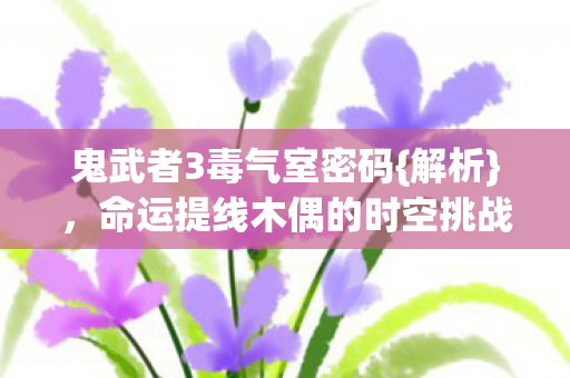 鬼武者3毒气室密码{解析}，命运提线木偶的时空挑战