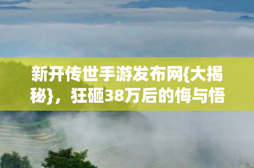 狂砸38万后的悔与悟图片