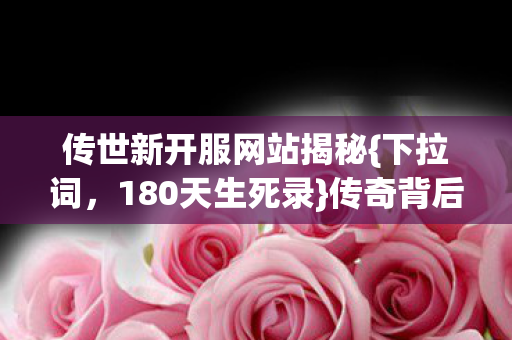 传世新开服网站揭秘图片