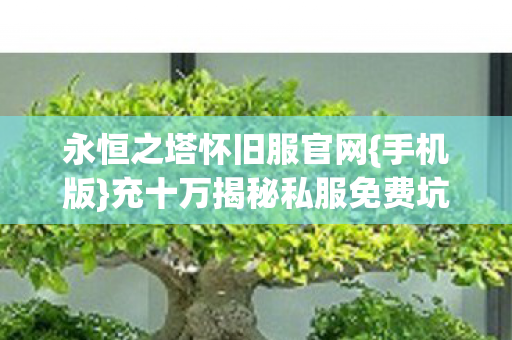 永恒之塔怀旧服官网{手机版}充十万揭秘私服免费坑