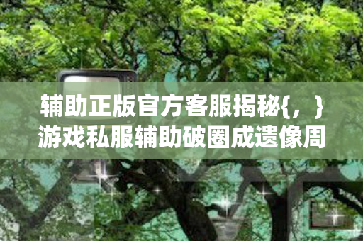 辅助正版官方客服揭秘{,}游戏私服辅助破圈成遗像周边 辅助正版官方客服揭秘{,}游戏私服辅助破圈成遗像周边