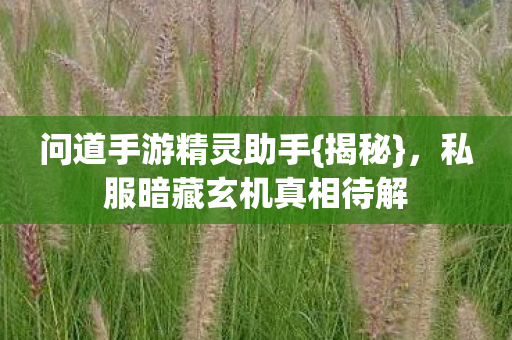 问道手游精灵助手{揭秘},私服暗藏玄机真相待解 问道手游精灵助手{揭秘},私服暗藏玄机真相待解