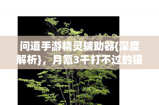 问道手游精灵辅助器{深度解析},月氪3千打不过的猫腻 问道手游精灵辅助器{深度解析},月氪3千打不过的猫腻