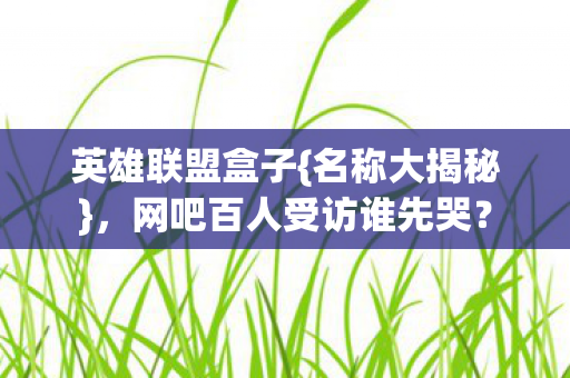 英雄联盟盒子{名称大揭秘},网吧百人受访谁先哭? 英雄联盟盒子{名称大揭秘},网吧百人受访谁先哭?