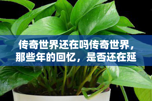 传奇世界还在吗传奇世界图片