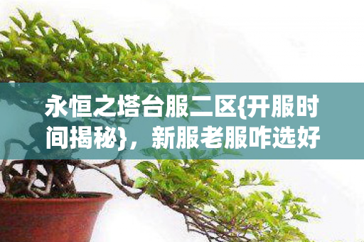 永恒之塔台服二区{开服时间揭秘},新服老服咋选好? 永恒之塔台服二区{开服时间揭秘},新服老服咋选好?