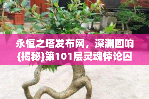 永恒之塔发布网,深渊回响{揭秘}第101层灵魂悖论囚笼 永恒之塔发布网,深渊回响{揭秘}第101层灵魂悖论囚笼
