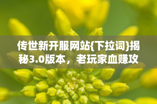 传世新开服网站{下拉词}揭秘3.0版本,老玩家血赚攻略! 传世新开服网站{下拉词}揭秘3.0版本,老玩家血赚攻略!