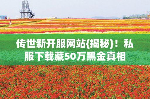 传世新开服网站{揭秘}!私服下载藏50万黑金真相 传世新开服网站{揭秘}!私服下载藏50万黑金真相