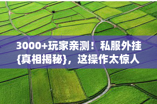 3000+玩家亲测！私服外挂{真相揭秘}，这操作太惊人！