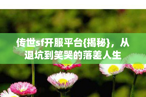 传世sf开服平台{揭秘},从退坑到笑哭的落差人生 传世sf开服平台{揭秘},从退坑到笑哭的落差人生