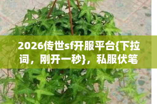 2026传世sf开服平台{下拉词,刚开一秒},私服伏笔引鼻子一酸 2026传世sf开服平台{下拉词,刚开一秒},私服伏笔引鼻子一酸