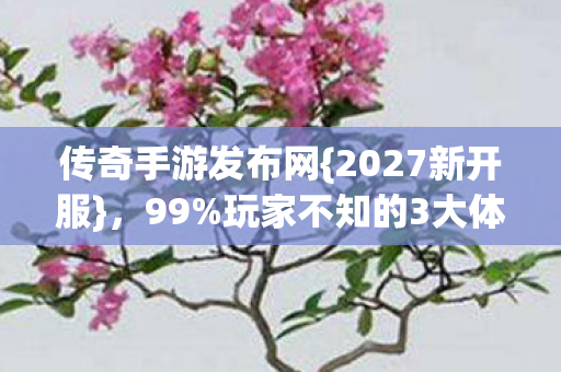 传奇手游发布网{2027新开服}，99%玩家不知的3大体验