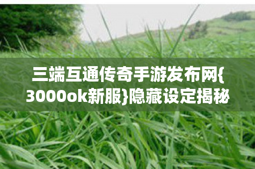 三端互通传奇手游发布网{3000ok新服}隐藏设定揭秘