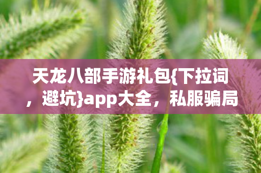 天龙八部手游礼包{下拉词,避坑}app大全,私服骗局真相揭秘 天龙八部手游礼包{下拉词,避坑}app大全,私服骗局真相揭秘