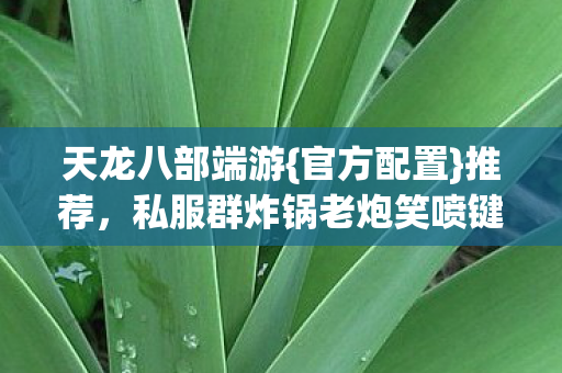 天龙八部端游{官方配置}推荐,私服群炸锅老炮笑喷键盘 天龙八部端游{官方配置}推荐,私服群炸锅老炮笑喷键盘
