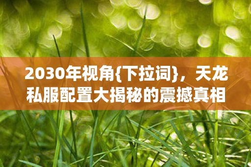 2030年视角{下拉词},天龙私服配置大揭秘的震撼真相 2030年视角{下拉词},天龙私服配置大揭秘的震撼真相