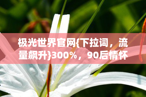 极光世界官网{下拉词,流量飙升}300%,90后情怀杀引爆新蓝海 极光世界官网{下拉词,流量飙升}300%,90后情怀杀引爆新蓝海