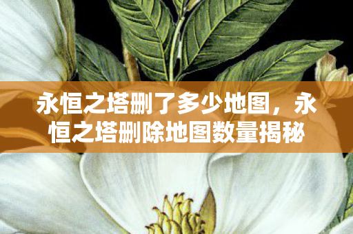 永恒之塔删除地图数量揭秘图片