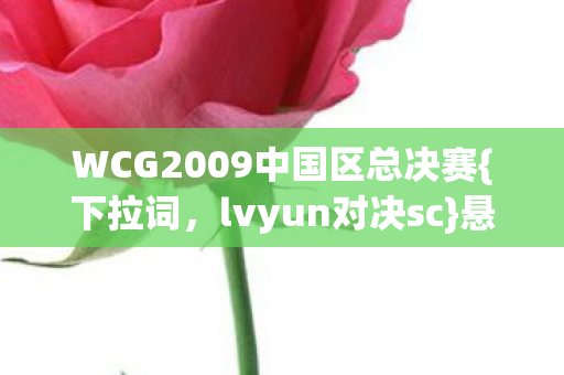 WCG2009中国区总决赛{下拉词，lvyun对决sc}悬案揭秘