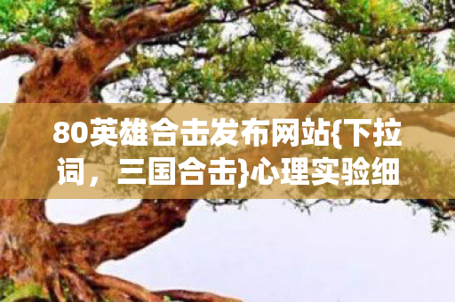80英雄合击发布网站{下拉词，三国合击}心理实验细思极恐
