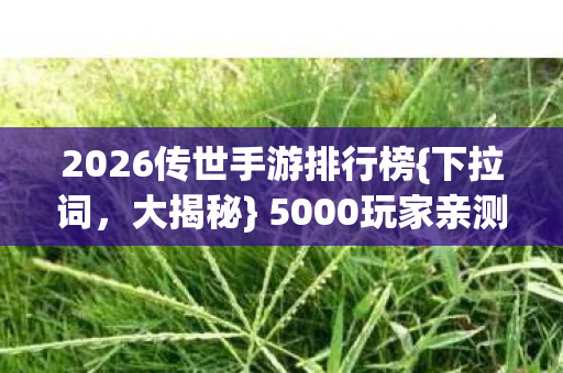 5000玩家亲测暗藏玄机图片