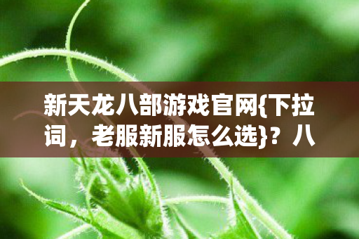 新天龙八部游戏官网{下拉词,老服新服怎么选}?八年玩家纠结失眠 新天龙八部游戏官网{下拉词,老服新服怎么选}?八年玩家纠结失眠