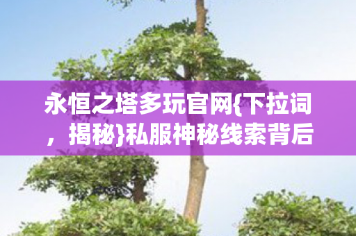 永恒之塔多玩官网{下拉词,揭秘}私服神秘线索背后的真相 永恒之塔多玩官网{下拉词,揭秘}私服神秘线索背后的真相