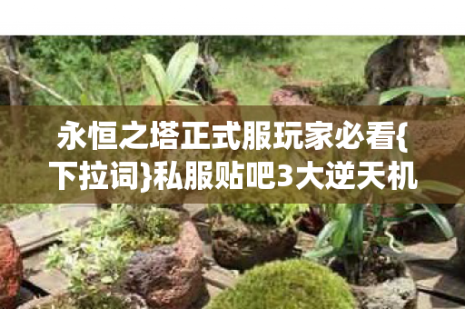 永恒之塔正式服玩家必看{下拉词}私服贴吧3大逆天机制 永恒之塔正式服玩家必看{下拉词}私服贴吧3大逆天机制