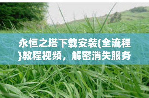 永恒之塔下载安装{全流程}教程视频,解密消失服务器之谜 永恒之塔下载安装{全流程}教程视频,解密消失服务器之谜