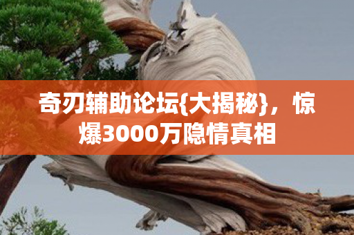 奇刃辅助论坛{大揭秘},惊爆3000万隐情真相 奇刃辅助论坛{大揭秘},惊爆3000万隐情真相