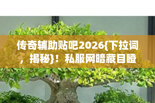 传奇辅助贴吧2026{下拉词，揭秘}！私服网暗藏目瞪口呆冷知识