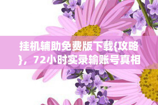 挂机辅助免费版下载{攻略},72小时实录输账号真相 挂机辅助免费版下载{攻略},72小时实录输账号真相