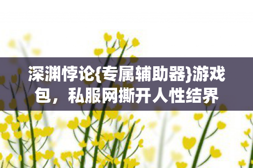 深渊悖论{专属辅助器}游戏包，私服网撕开人性结界