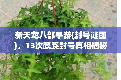 新天龙八部手游{封号谜团},13次蹊跷封号真相揭秘 新天龙八部手游{封号谜团},13次蹊跷封号真相揭秘