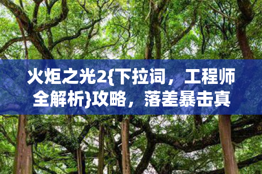 火炬之光2{下拉词,工程师全解析}攻略,落差暴击真相揭秘 火炬之光2{下拉词,工程师全解析}攻略,落差暴击真相揭秘